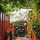 고양이나라 | [블챌김꽈자] 인천 영흥도 유기묘 고양이 카페 : 고양이역 방문 후기