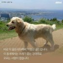 눈치 - 북구 와우로 14 | 눈치