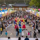 영동군 관광안내소 | 2026 영동 곶감축제, 풍성한 체험 함께해요