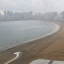 불쑥 한마디로 안부인사가 찾아왔다 이미지