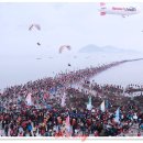 진도신비의바닷길 온라인 축제 티스토리