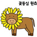 신진한우