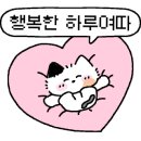 스시캘리포니아엠비씨네점 이미지