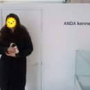 안다켄넬 이미지