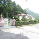 완월동125 이미지