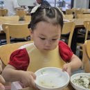 진도횟집해녀소녀식당