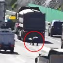 돈비가 이미지
