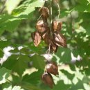 꽃우물공원 이미지