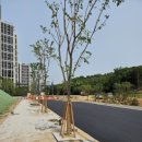 처인고등학교 이미지