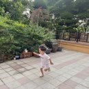 한라형제국밥
