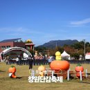 (주)창원정보통신 | 창원 가볼만한곳 주남저수지 앞 창원단감축제 정보 꿀팁 후기