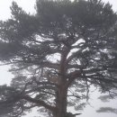 사기점 이미지