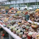 현아네 농장 이미지