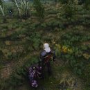 게임플러스 이미지