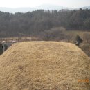 성석린 선생 묘 이미지