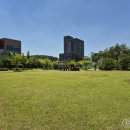 신성동 수천이들 근린공원 이미지