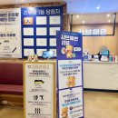 창원 상남동 샤브샤브맛집 샤브해연 후기