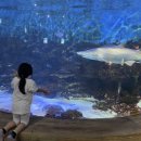 가족나들이 이미지