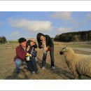 재훈농장 이미지