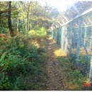 남북주유소 이미지