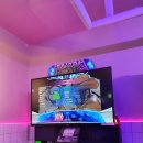 미미게임랜드 이미지