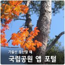가을산추천 등산할 때 국립공원 앱 챙기세요 이미지