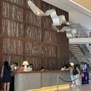 오엔호텔(ON HOTEL) | 나트랑 가성비 숙소 - 디셈버 호텔(December Hotel)