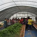 그린레일 이미지