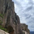 양지-2778 이미지