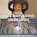 더블유티메소드 클래시 압구정점 | 강남두피관리 강추 / 여름철 깨끗한 두피 모근 관리는 WT메소드 클래시 압구정점에서!