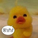 삐끄니끄