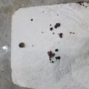 다울농장 이미지