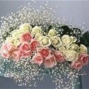 어떤 하루 이미지