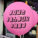 밀스튜디오의류매장