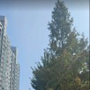 우정아파트 이미지