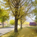 조욱 선생묘 이미지