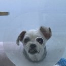 도구제일약국 이미지