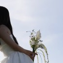 화인플라워 - 성남시 중원구 둔촌대로 303 | [웨딩] W.35 생화 같은 조화 카라부케 [미화롭다] 웨딩촬영 부케 후기 🌿🤍/ 가성비 결혼준비