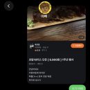 육의정