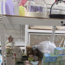 햄스터 라운지 이미지