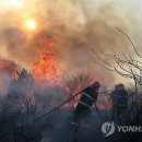 진화목장 이미지