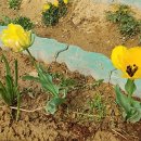 국원농장 이미지