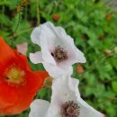 회자정리(會者定離)뜻 이미지