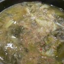 오늘더빛나개 이미지