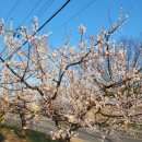 상남동140 이미지