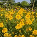 한밭목장 이미지