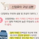 산양유 단백질 효능 안좋은점 이미지