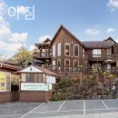 숲속의아침3 이미지