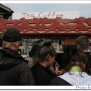 사랑의언덕 이미지