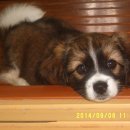 솔비농장 이미지